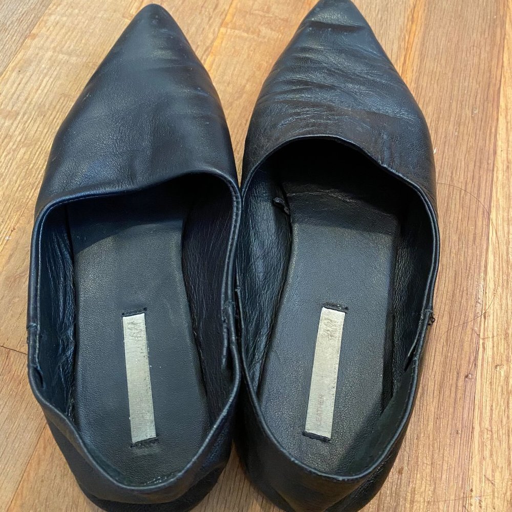 Pointy Toe H&M Flats